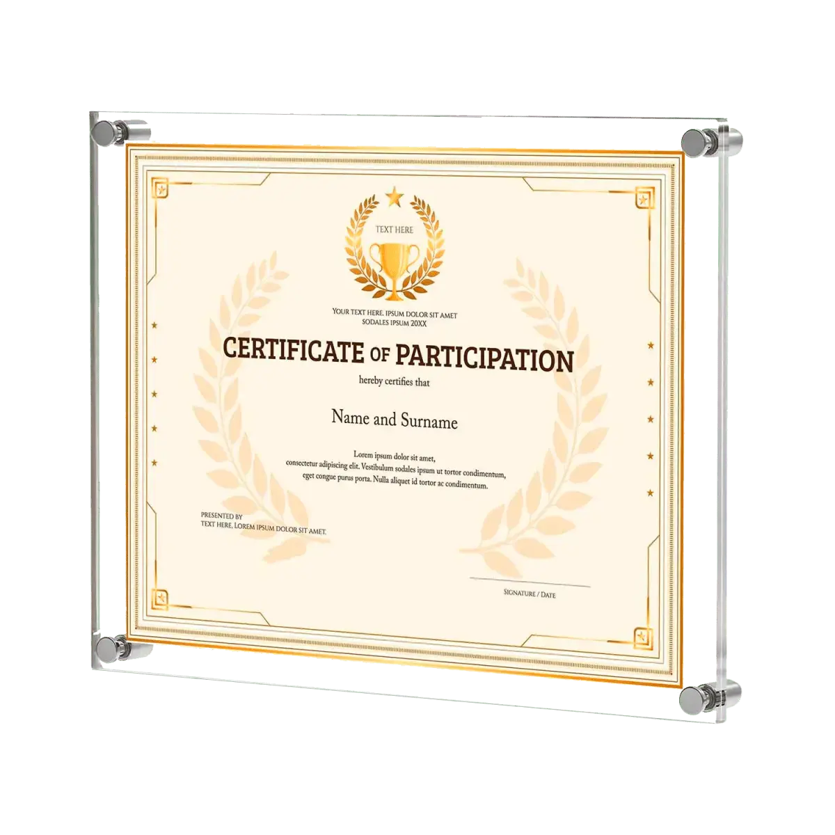 Şeffaf Pleksi Diploma Sertifika Çerçevesi | Duvar Tipi Vidalı Montaj | 25x34 cm - QueenBeeIstanbul