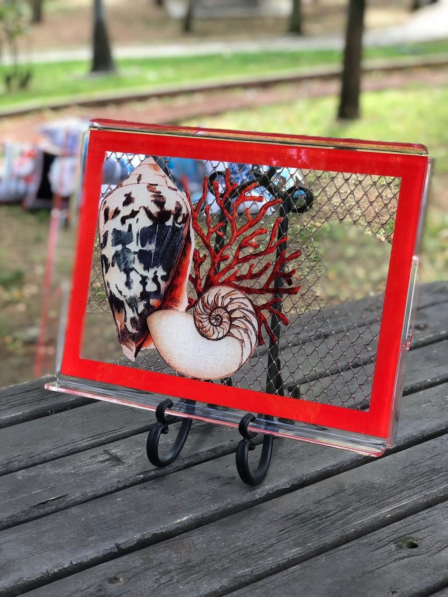 Balık Ağı-Kabuklu mercan - QueenBeeIstanbul