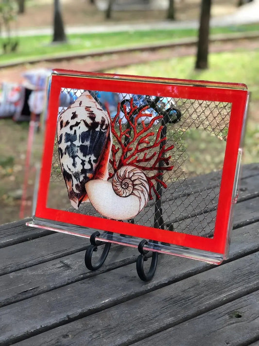 Balık Ağı-Kabuklu mercan - QueenBeeIstanbul