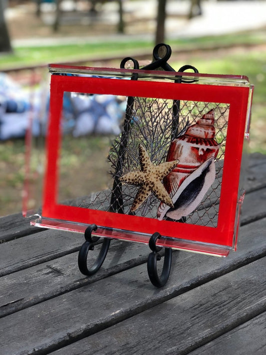 Balık Ağı-Kabuklu Mercan Deniz Yıldızı - QueenBeeIstanbul