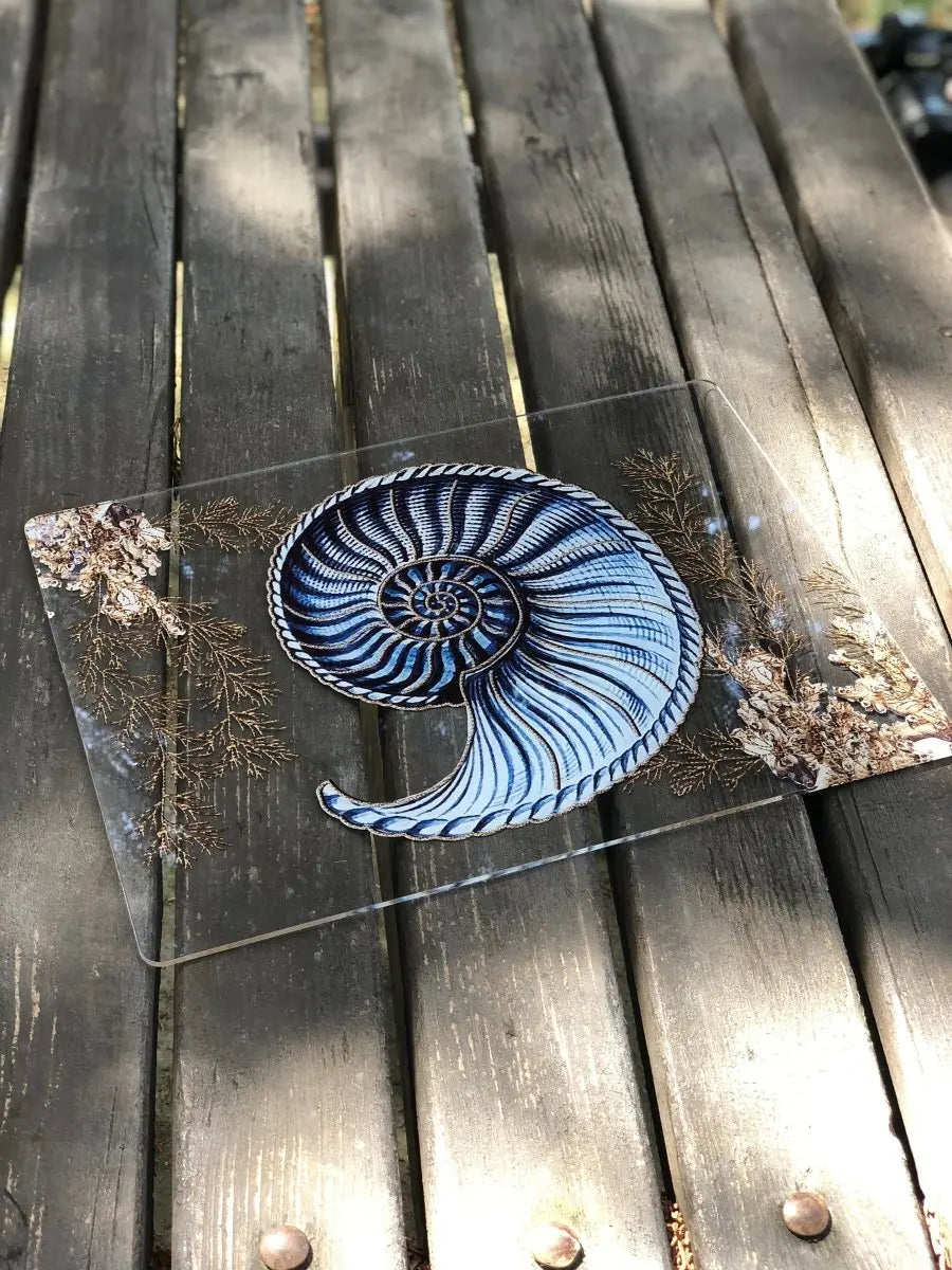 Marin Pileksi Amerikan Servis -Deniz Kabuğu- - QueenBeeIstanbul