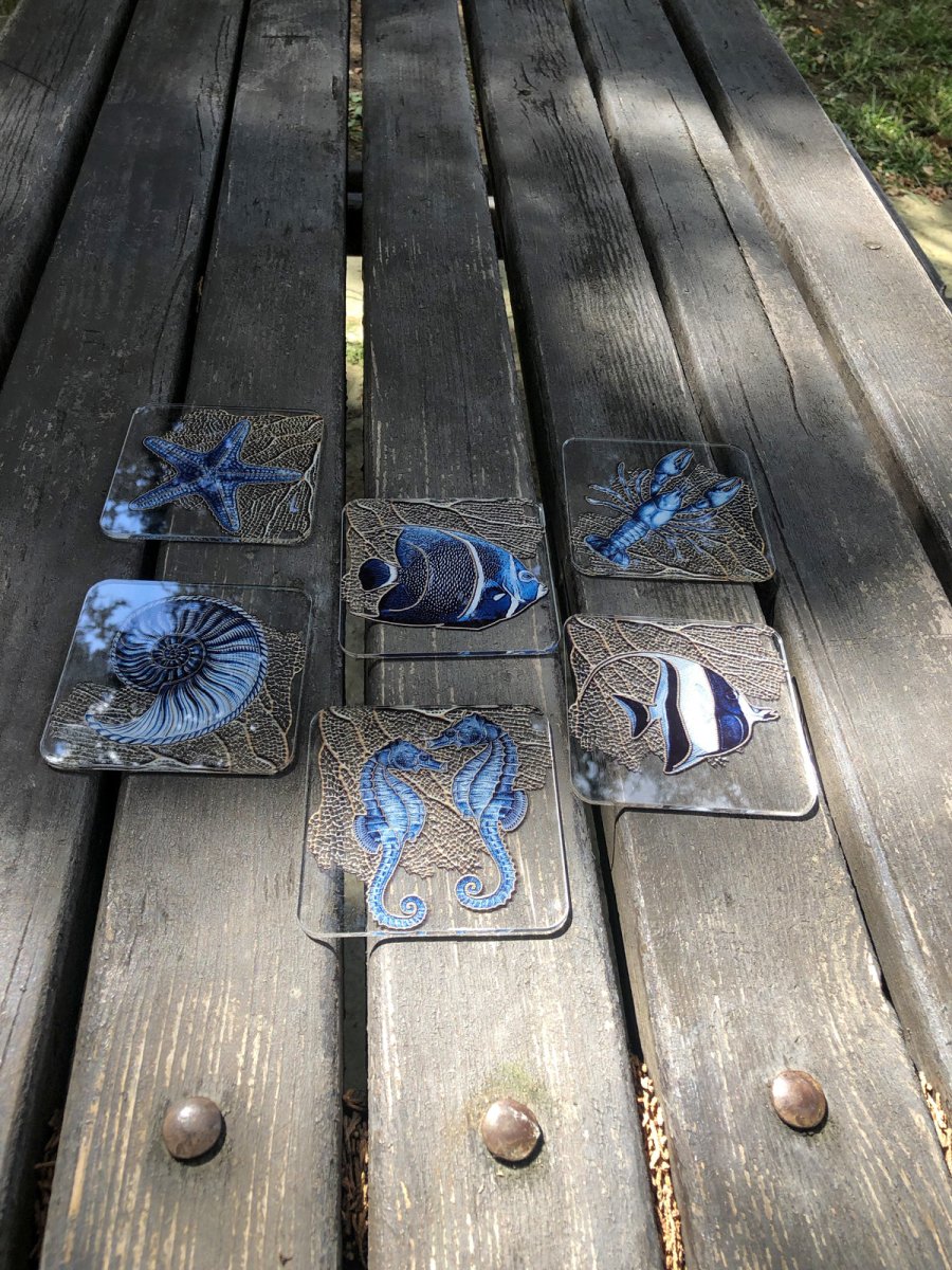 Pleksi Bardak Altlığı -Marin- 6'lı Set - QueenBeeIstanbul