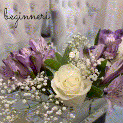 Şeffaf Pleksi ÇiçekTanzim Vazosu - QueenBeeIstanbul