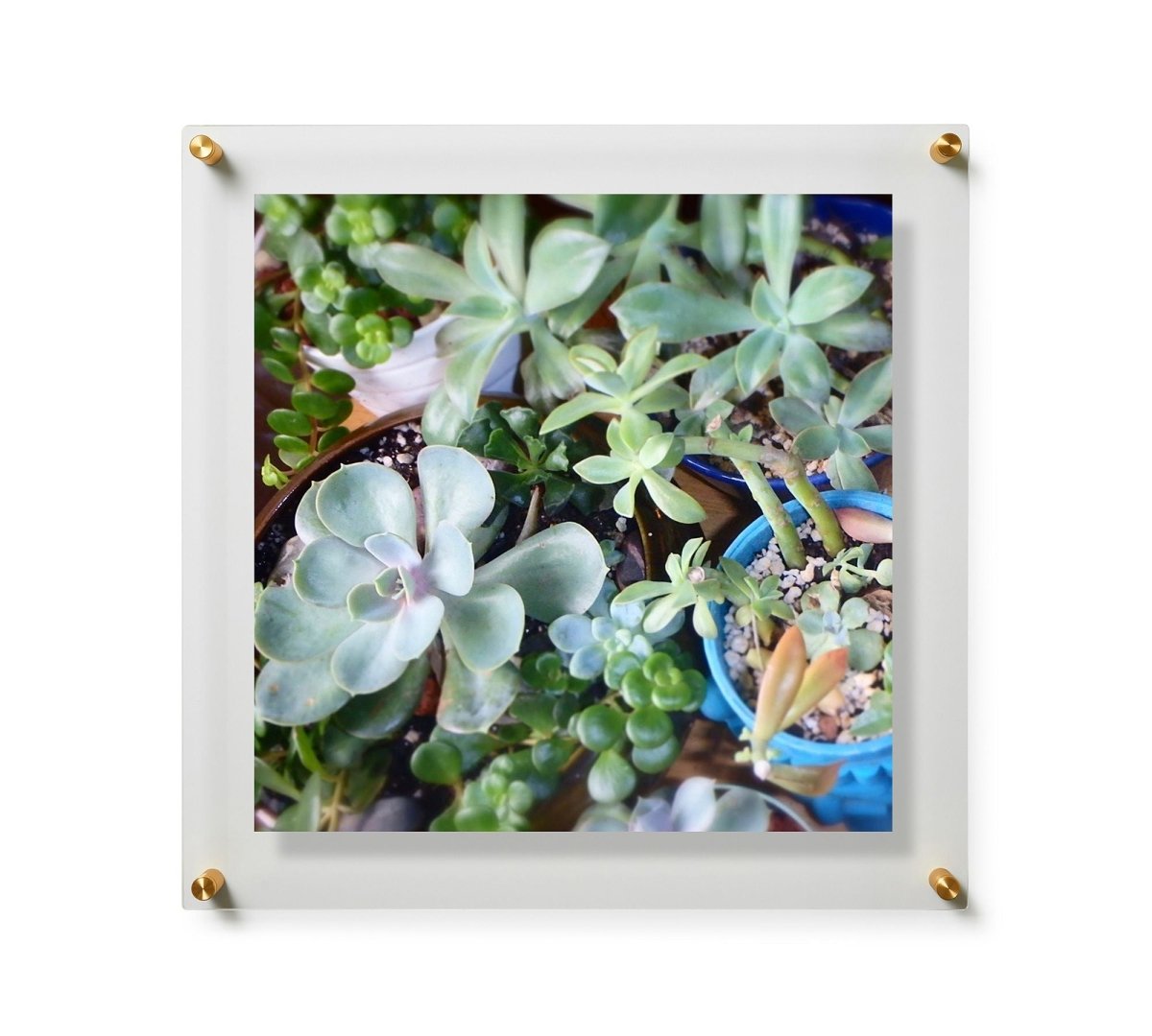 Çift Panel Akrilik Çerçevesiz Fotograf Çerçeveleri-Floating Frames- - QueenBeeIstanbul