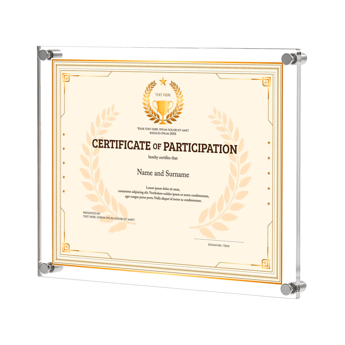Şeffaf Pleksi Diploma Sertifika Çerçevesi | Duvar Tipi Vidalı Montaj | 25x34 cm - QueenBeeIstanbul